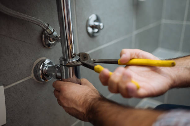 Plumbing System Maintenance in Lacoochee, FL