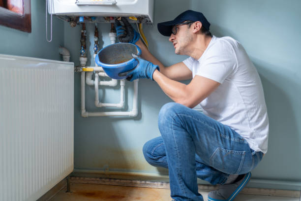 Best Water Heater Installation and Repair  in Lacoochee, FL